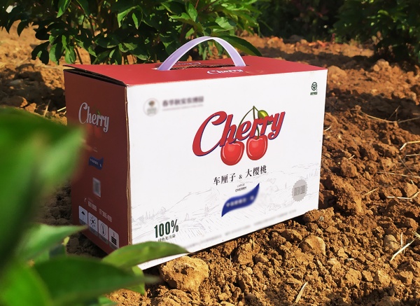 櫻桃、車(chē)厘子禮盒