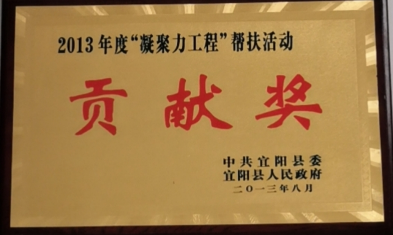 2013年度凝聚力工程幫扶活動(dòng)貢獻獎